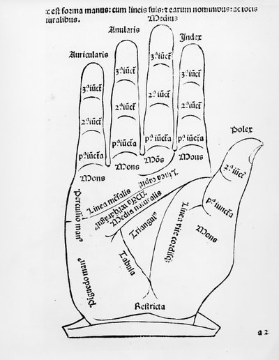 Palmistry by English School